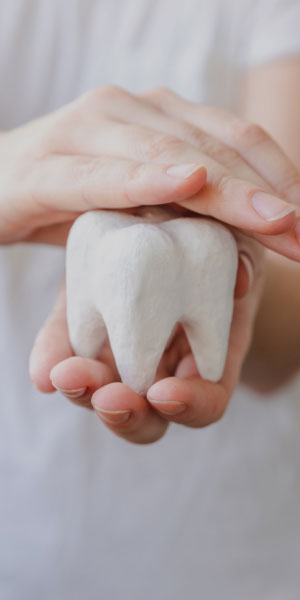 cabinet saint guillaume les pathologies bucco dentaires endodontie 01
